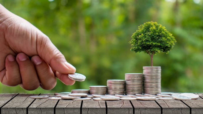 Los inversores moderados son los más interesados en invertir siguiendo criterios ESG